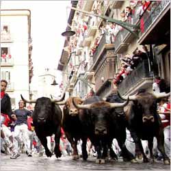 San Fermin Festival Celebration (Running of Bulls)